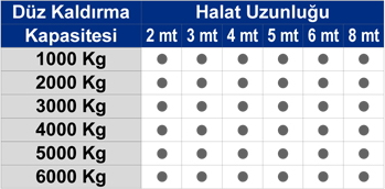 Polyester Sapan